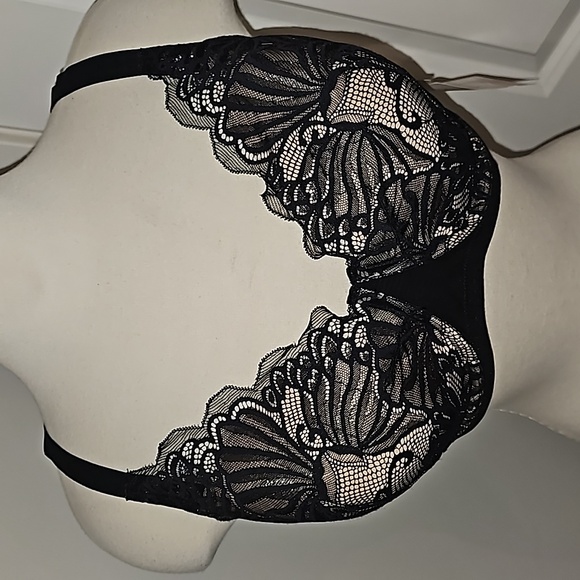 Paramour by Felina Tempting - Picture 6 of 16